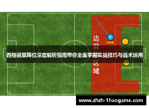 西格诺里踢位深度解析指南带你全面掌握实战技巧与战术运用