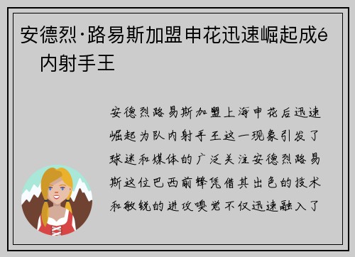 安德烈·路易斯加盟申花迅速崛起成队内射手王