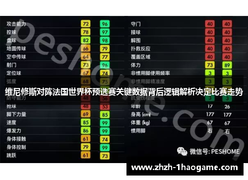维尼修斯对阵法国世界杯预选赛关键数据背后逻辑解析决定比赛走势